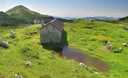 42 Baita La Bocca, sullo sfondo il Sodadura...